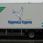 Nipponia Nippon（朱鷺）