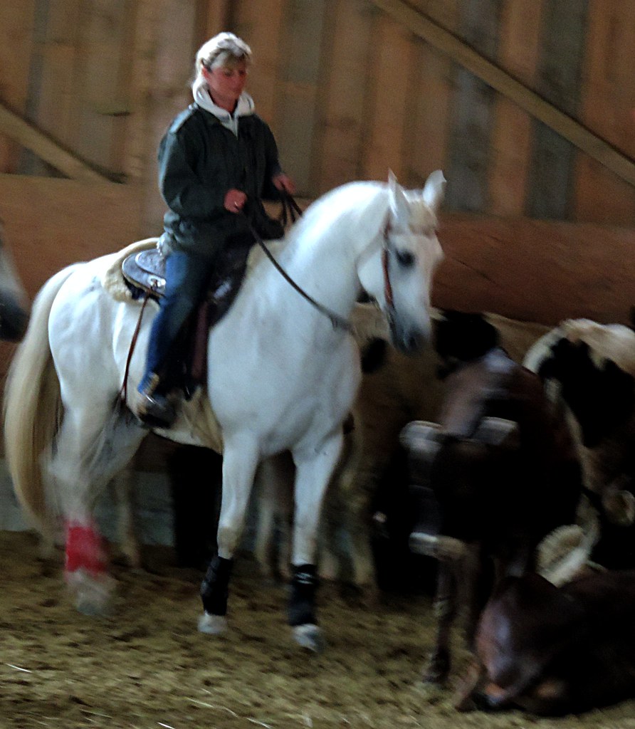 Working with Cattle Riding Course | Picking up one of the no… | Flickr