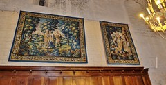 Cathedrale de Senez, Haute Provence, tapisserie des Gobelins
