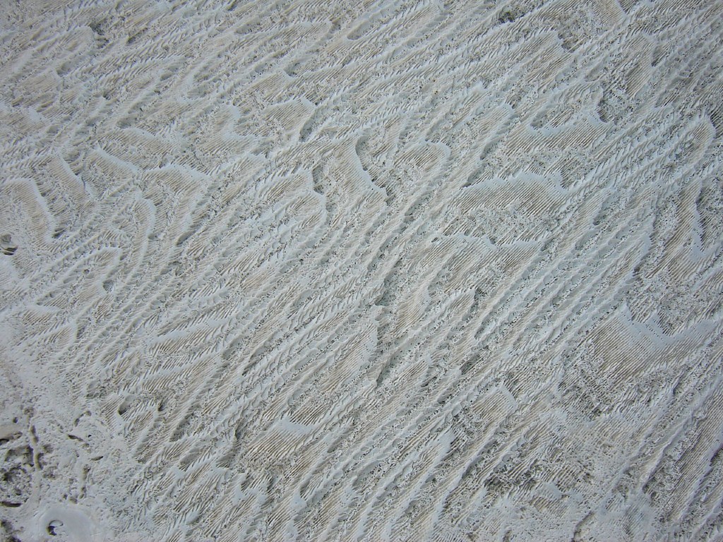 coral rock texture | This texture is free to use in your wor… | Flickr