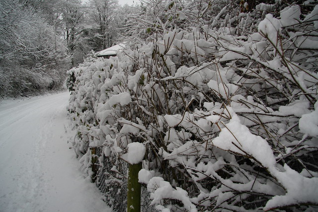 Let it Snow! Let it Snow! Let it Snow!!! Poynton, Cheshire, 5 Jan 2010