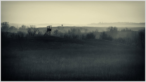 Deer Stands | by glness