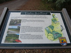 Trail to Ibis Pond, Pinckney Island National Wildlife Refuge, South Carolina