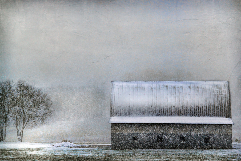 First Snow by Distressed Textures