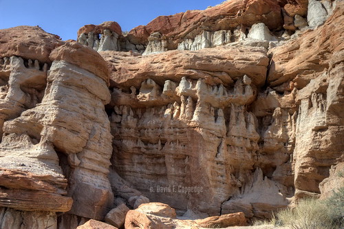 desert redrock redrockcanyon stateparks strata geology sandstone erosion mojave mojavedesert psa104 chiefbwana 500views