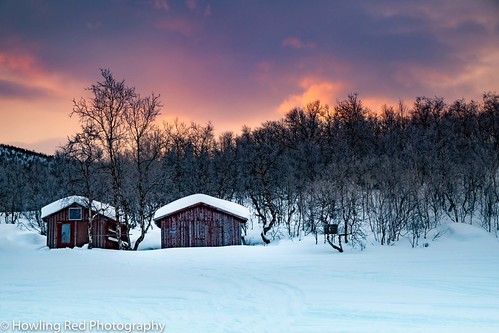 Ammarnäs by howlingred, Lappland morning sweden lapland winter cold snow trees sunrise