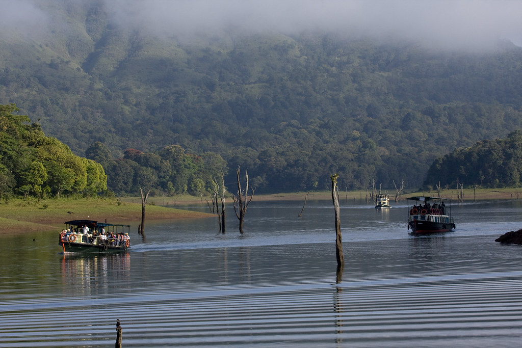 Thekkady – The Affection for Wildlife