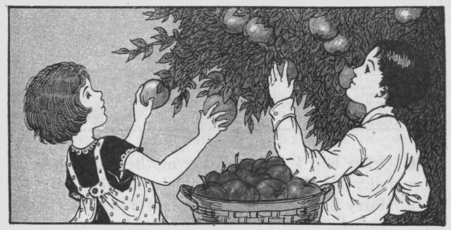 picking apples bw