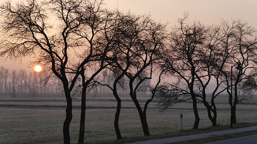 Sonnenaufgang: leichter Nebel und Reif by SteffenKahl, sunrise germany sonnenaufgang ragow stegepfuhl