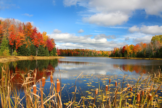 Autumn Magic Landscape