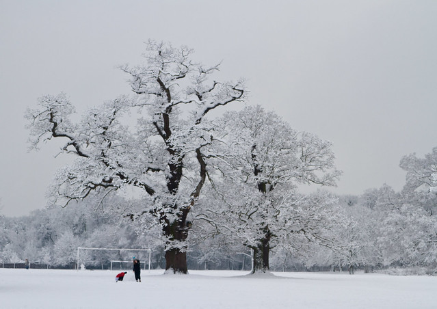Cassiobury Park in the Snow