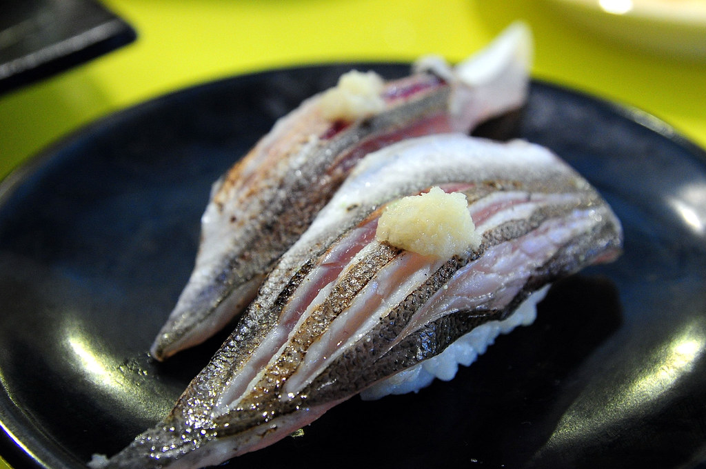 小高玉－尖梭魚