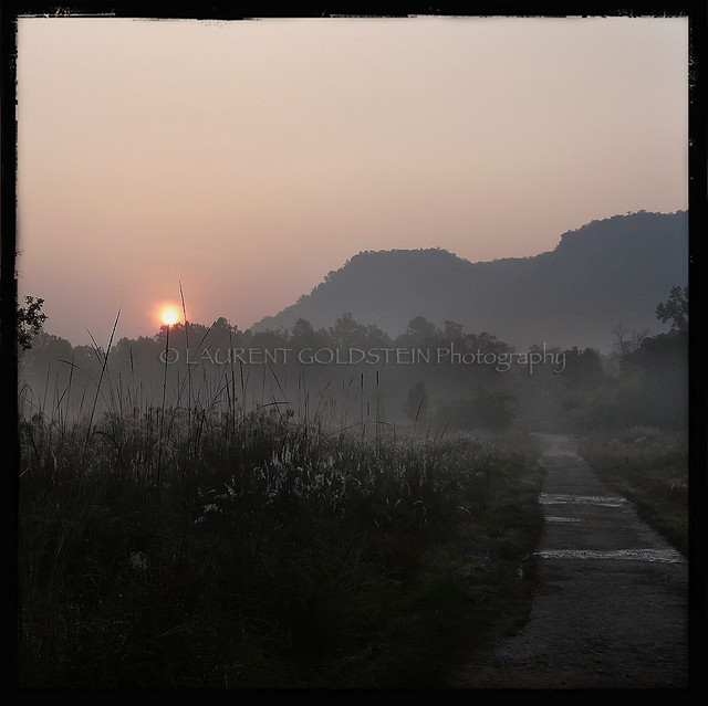 Sunrise at Bandhavgarh