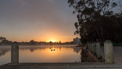 newzealand sunrise waikato dawn hamiltonlake outdoor park hamilton fog nz