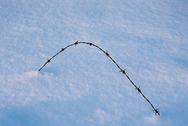 Drut kolczasty / Barbed wire
