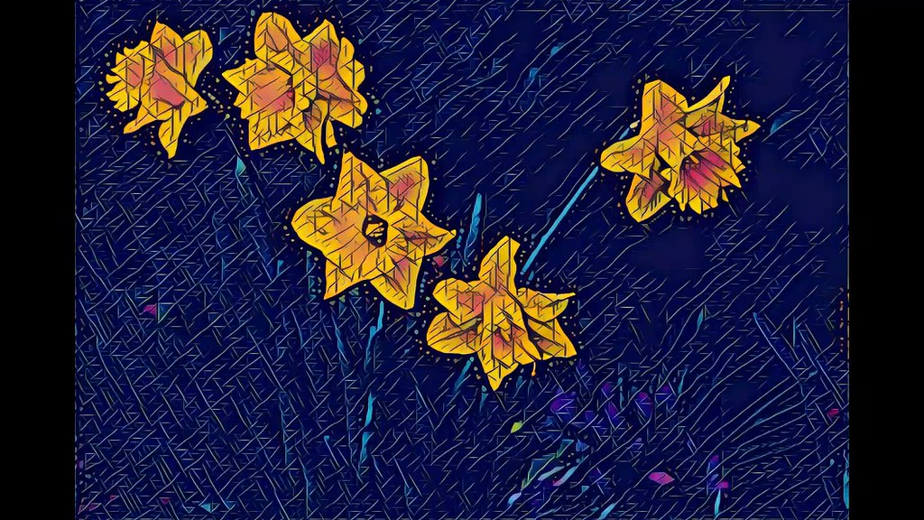 Daffodils, as seen through Prisma and Vinci filters. (Slideshow)
