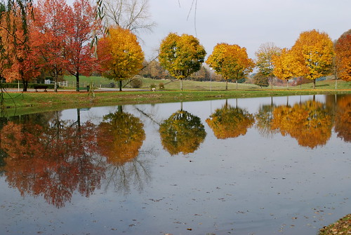 trees france nature colors automne reflections landscape geotagged pond europe colours couleurs arbres pompadour paysage reflexions reflets corrèze limousin étang abigfave diamondclassphotographer flickrdiamond natureselegantshots nikonflickraward thebestofmimamorsgroups michelemp updatecollection fleursetpaysages geo:lat=45399973 geo:lon=1383471