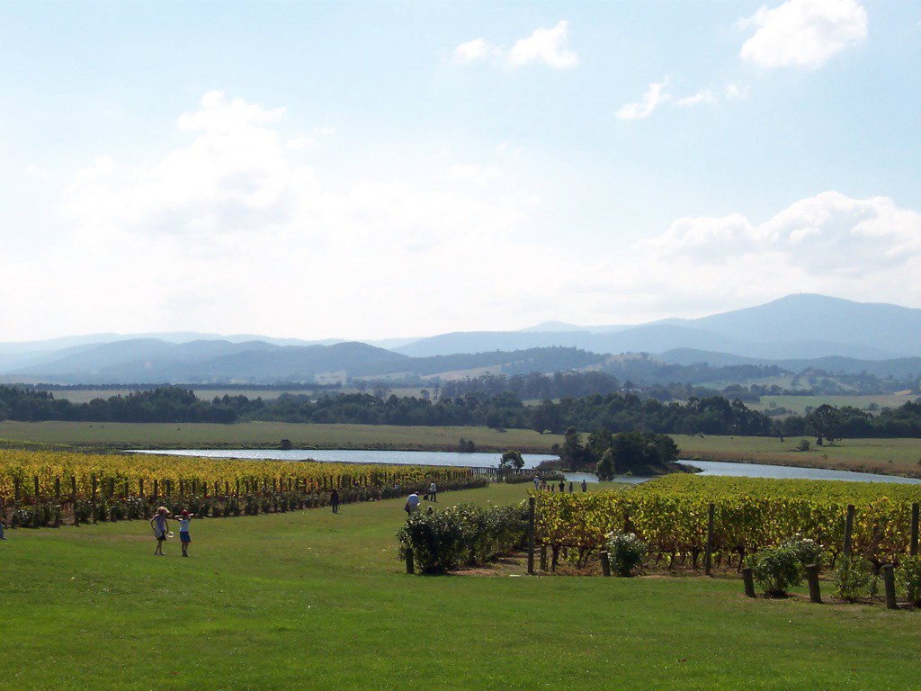 domaine chandon | A view over the yarra valley as seen from … | Flickr