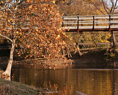 millersburg pennsylvania country autumn bridge swingingbridge river trees