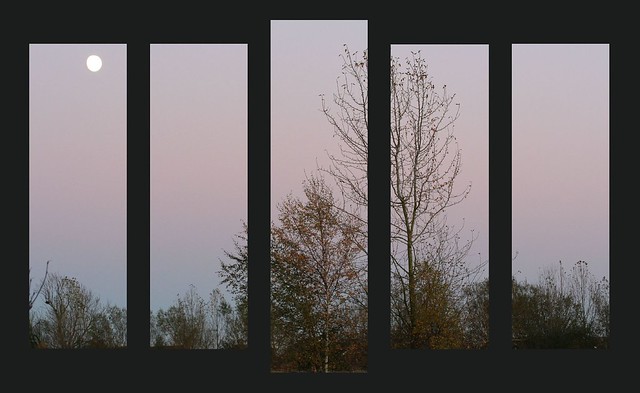 Strensall Heath Dusk; Pentaptych Montage with bars