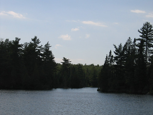 trees lake boundarywatercanoearea