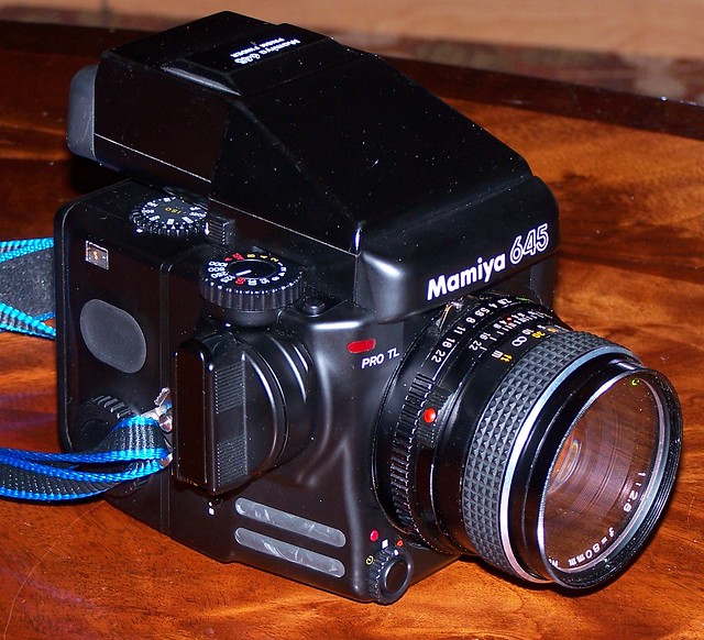 Analog SLR: Mamiya 645 Pro TL Medium Format Film SLR with Mamiya Sekor 80mm 2.8 Prime - Image by Kodak DX7590 Zoom