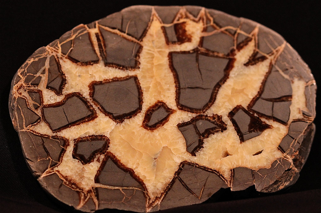 Septaria Geode Septarian Geode • Utah | Septarian Geode Utah / NO INVITES O… | Flickr
