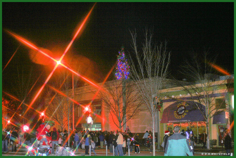 Decatur's Great Tree 2009 by -WHITEFIELD-