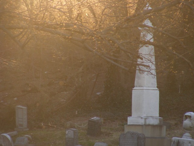 graveyard in the mist