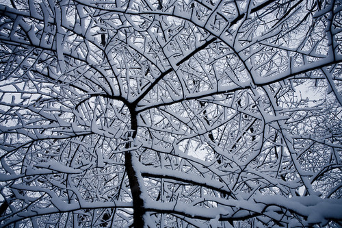 Snow Storm Central Park Feb 10 2010 ©Arpi Pap www.Vidi.ro | by arpipap