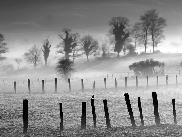 Amanecer con niebla - Sunrise with fog