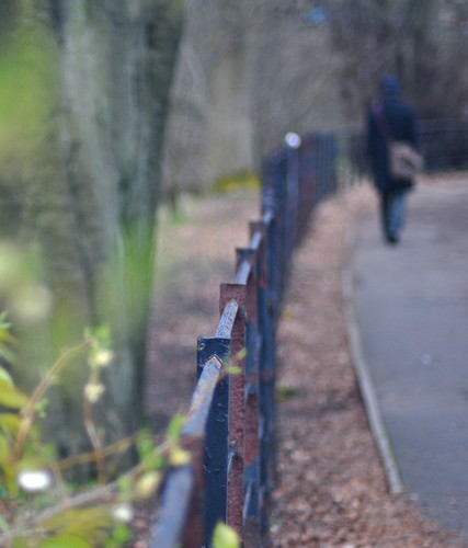 walk in the park | by virtually light - winterland