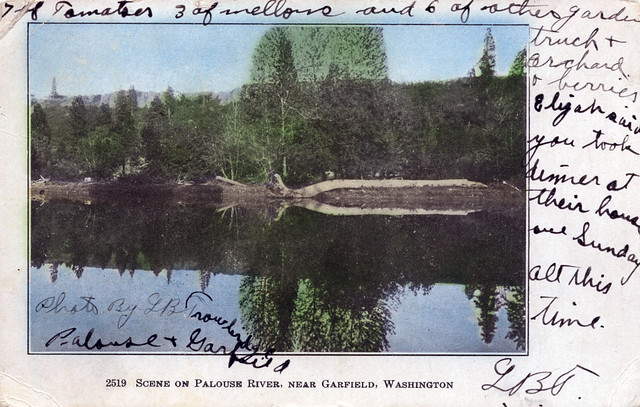 Scene on Palouse River, 1908 - Garfield, Washington
