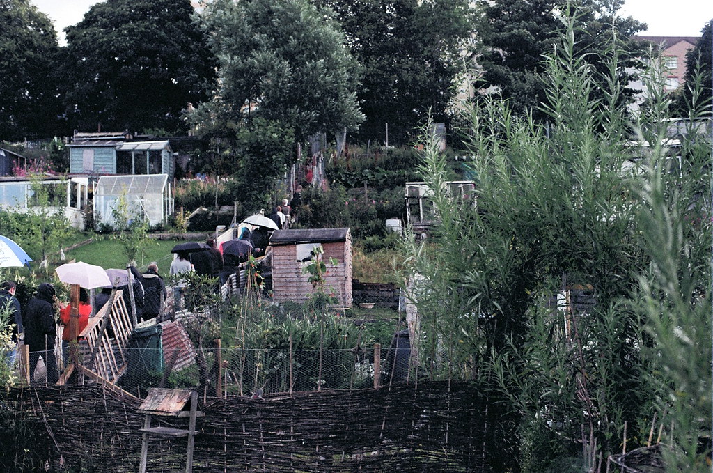 Springburn Allotments | Nicole e Schlosser | Flickr