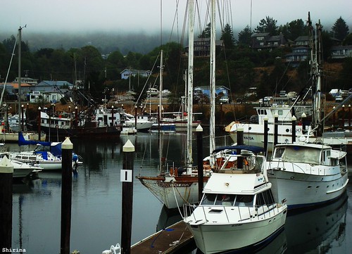 A misty morning does not signify a cloudy day.~ Traditional Proverb by Msjunior- slowly catching up