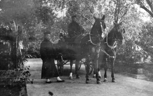 天津海关税务司的专用马车 1903 Tianjin, Commissioner's Carriage