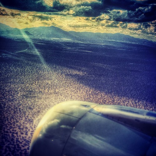Wing & A Prayer | by Nashville_Photog