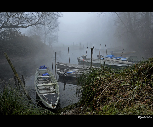 Fog, boats .... silence