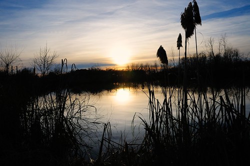 lago tramonto inverno canne riflesso nikond300 vrzoom1685mmf3556gifed