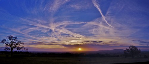 panorama pano tree silhouette sky clouds lines shropshire sunrise light blue white countryside pentax pentaxart