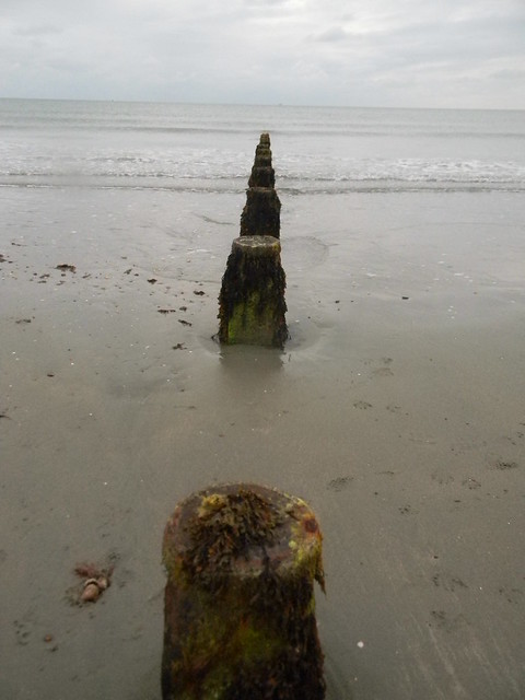 Staves Chichester to West Wittering