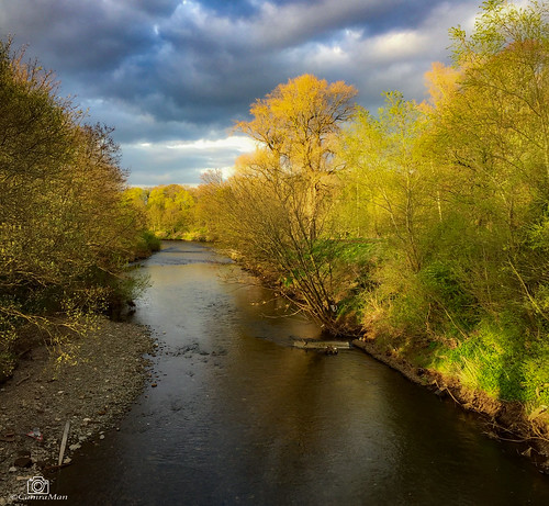 caldew river eden carlisle evening light trees ©camraman iphone