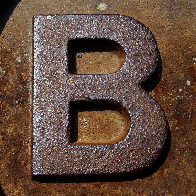 B as in B8 for FlickrBingo2