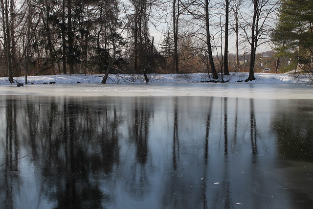 Garrison Forest ~ frozen pond