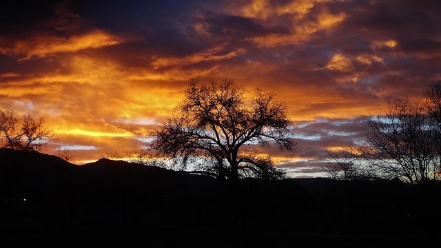 Albuquerque Sunrise