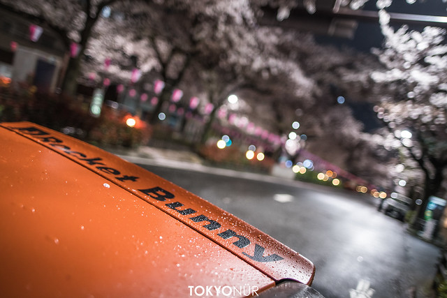 Sakura Bunny // Honda Of America Element+Tokyonür Concept
