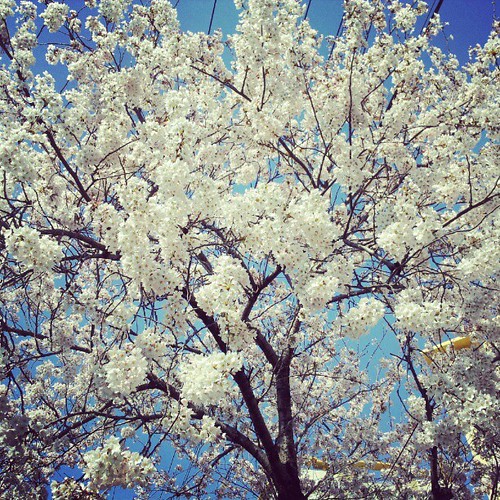(8)(4)(1)(2) | by testqwer50