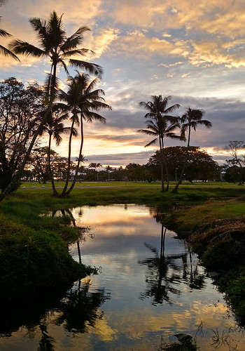 hawaii android cameraphone sunrise reflections waterreflections reflection goldenhour palmtrees