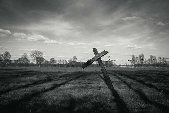 sign of the cross   l   2017