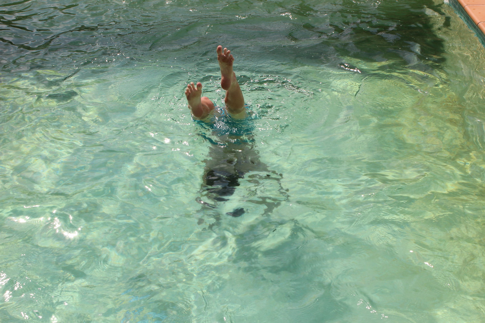 2013 Pool | Flickr